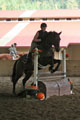 Blair and Gunny over the RollTop thumbnail