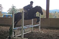Blair on Ebony - owned By Colleen Davis thumbnail