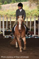 Rachael and Dixie Pony thumbnail