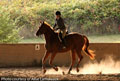 Rachael and Whiskey on Course thumbnail