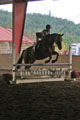Wildtree Mini Medal Winner Avery Hansen on Revelation thumbnail