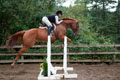 Whiskey and Rachael jump the coop thumbnail
