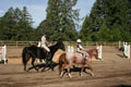 Warming up for the walk-trot division thumbnail