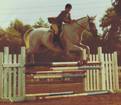 Normas Horses thumbnail