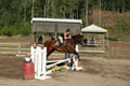 Amelia and Carlon over a swedish oxer thumbnail