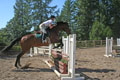 Amelia and Gunny over the brush thumbnail