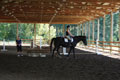 Amelia gets a lesson from Mary thumbnail