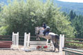 Dublin looking tidy over an oxer thumbnail