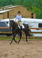 Vinny looking handsome in an under saddle class thumbnail