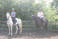 Wildtree Camp lifetime members Sheila and Sandy thumbnail