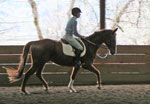 Christus Farm Schooling Show, thumbnail