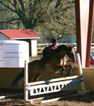 Judy Brawley Clinic, thumbnail