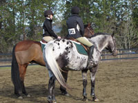 Jump & Jodphur, thumbnail